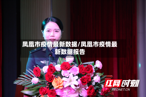 凤凰市疫情最新数据/凤凰市疫情最新数据报告