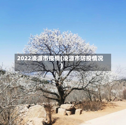 2022凌源市疫情(凌源市防疫情况)-第2张图片