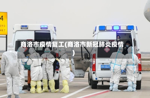 商洛市疫情复工(商洛市新冠肺炎疫情)-第3张图片