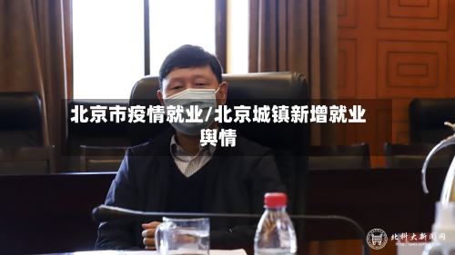 北京市疫情就业/北京城镇新增就业舆情