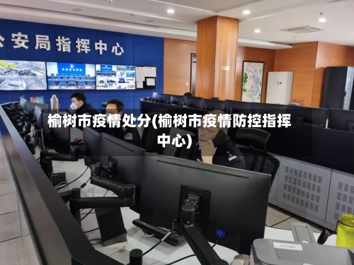 榆树市疫情处分(榆树市疫情防控指挥中心)-第2张图片