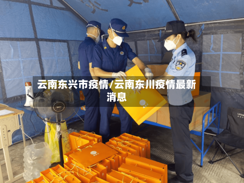云南东兴市疫情/云南东川疫情最新消息
