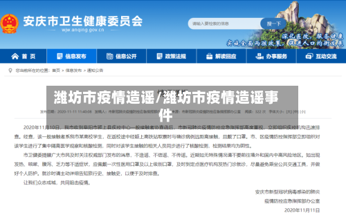 潍坊市疫情造谣/潍坊市疫情造谣事件