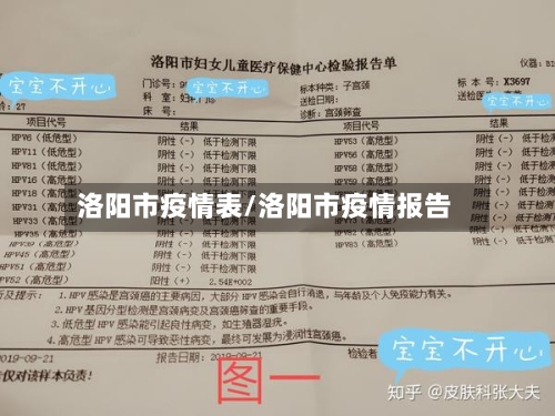 洛阳市疫情表/洛阳市疫情报告
