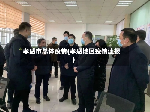 孝感市总体疫情(孝感地区疫情速报)-第3张图片