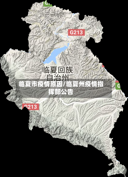 临夏市疫情原因/临夏州疫情指挥部公告