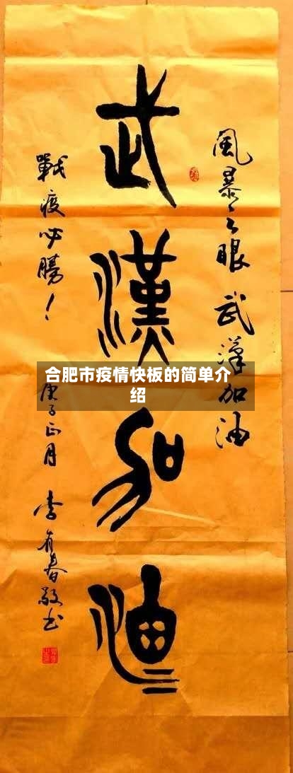 合肥市疫情快板的简单介绍
