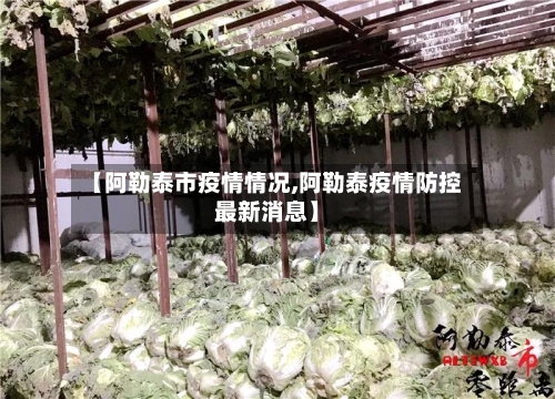 【阿勒泰市疫情情况,阿勒泰疫情防控最新消息】