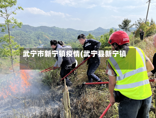 武宁市新宁镇疫情(武宁县新宁镇)