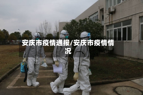 安庆市疫情通报/安庆市疫情情况-第3张图片