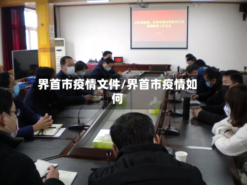 界首市疫情文件/界首市疫情如何