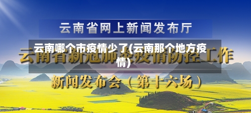 云南哪个市疫情少了(云南那个地方疫情)-第3张图片