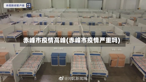 赤峰市疫情高峰(赤峰市疫情严重吗)