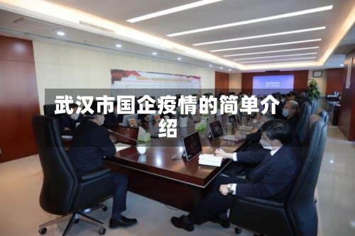武汉市国企疫情的简单介绍