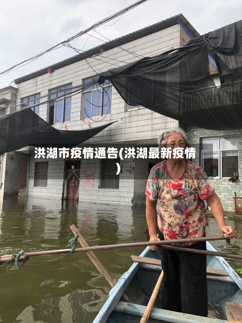 洪湖市疫情通告(洪湖最新疫情)-第2张图片