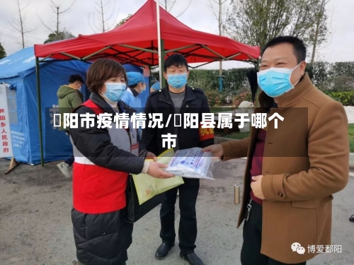 洑阳市疫情情况/嶓阳县属于哪个市