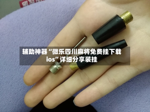 辅助神器“微乐四川麻将免费挂下载ios	”详细分享装挂-第2张图片