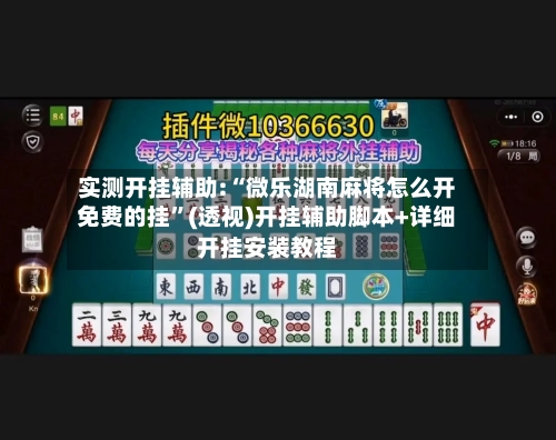 实测开挂辅助:“微乐湖南麻将怎么开免费的挂”(透视)开挂辅助脚本+详细开挂安装教程