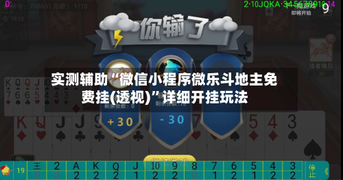 实测辅助“微信小程序微乐斗地主免费挂(透视)”详细开挂玩法-第3张图片