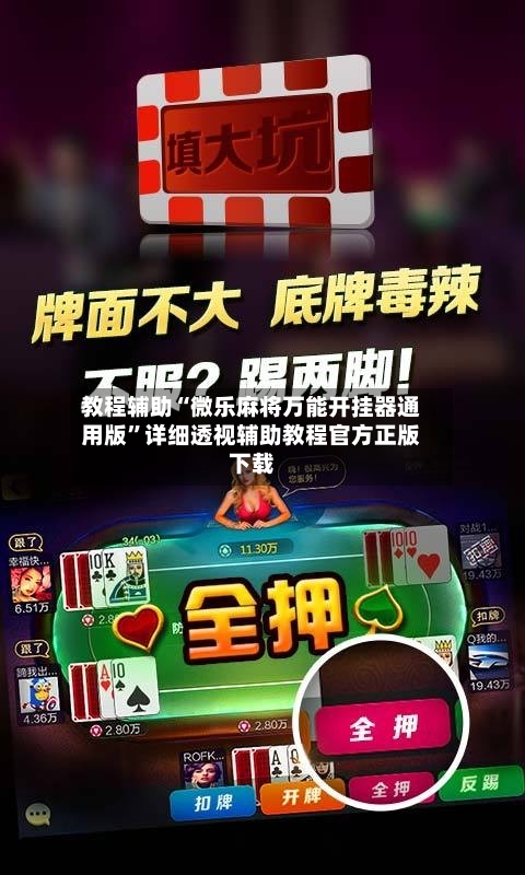 教程辅助“微乐麻将万能开挂器通用版”详细透视辅助教程官方正版下载-第2张图片