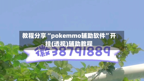 教程分享“pokemmo辅助软件”开挂(透视)辅助教程-第2张图片