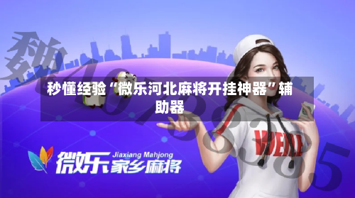 秒懂经验“微乐河北麻将开挂神器	”辅助器-第2张图片