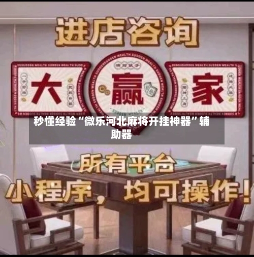 秒懂经验“微乐河北麻将开挂神器”辅助器-第3张图片
