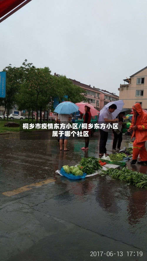 桐乡市疫情东方小区/桐乡东方小区属于哪个社区