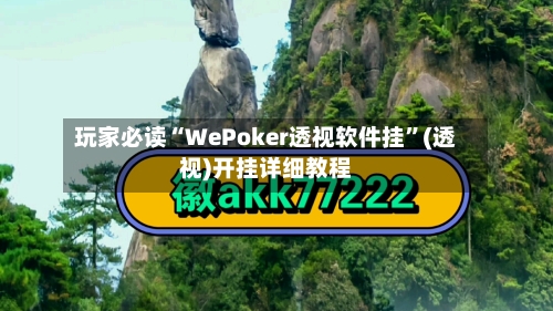 玩家必读“WePoker透视软件挂	”(透视)开挂详细教程-第2张图片