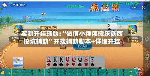 实测开挂辅助:“微信小程序微乐陕西挖坑辅助”开挂辅助脚本+详细开挂