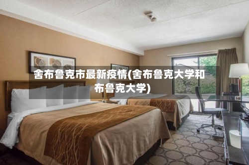 舍布鲁克市最新疫情(舍布鲁克大学和布鲁克大学)