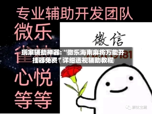 玩家辅助神器:“微乐海南麻将万能开挂器免费”详细透视辅助教程-第2张图片