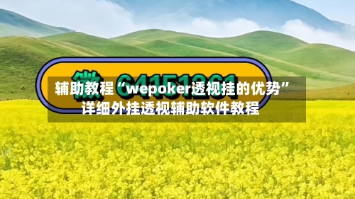 辅助教程“wepoker透视挂的优势”详细外挂透视辅助软件教程-第2张图片