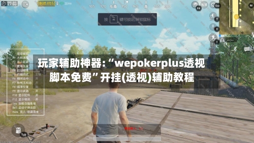 玩家辅助神器:“wepokerplus透视脚本免费”开挂(透视)辅助教程-第3张图片