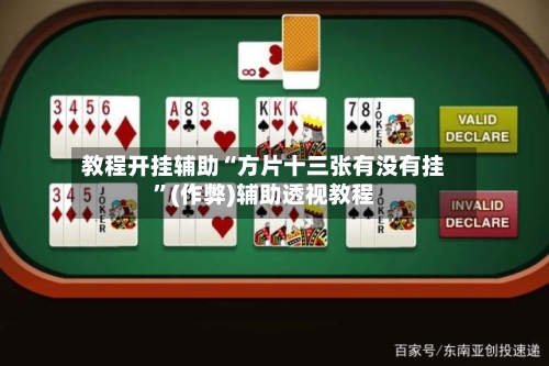 教程开挂辅助“方片十三张有没有挂”(作弊)辅助透视教程-第3张图片