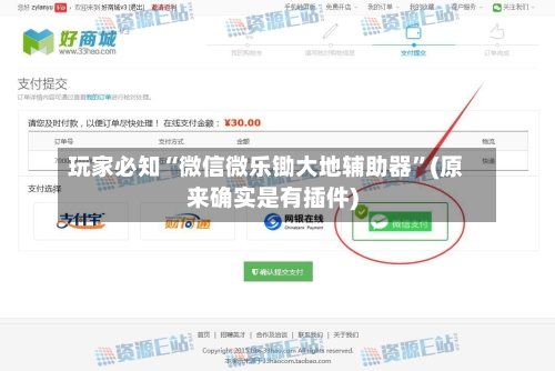 玩家必知“微信微乐锄大地辅助器”(原来确实是有插件)