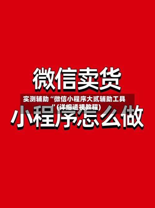 实测辅助“微信小程序大贰辅助工具	”(详细透视教程)-第2张图片