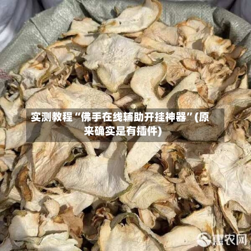 实测教程“佛手在线辅助开挂神器”(原来确实是有插件) 