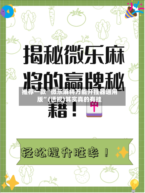 推荐一款“微乐麻将万能开挂器通用版”(透视)其实真的有挂-第2张图片