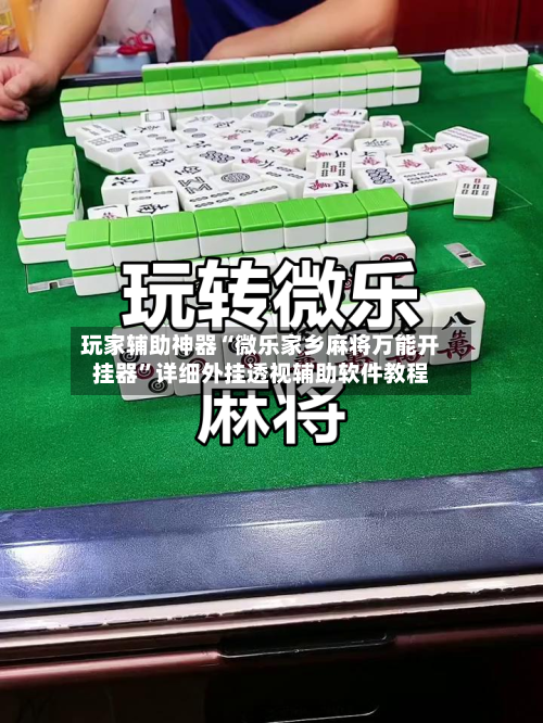 玩家辅助神器“微乐家乡麻将万能开挂器	”详细外挂透视辅助软件教程-第3张图片