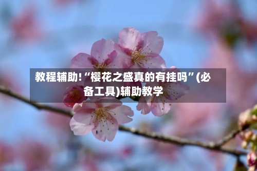 教程辅助!“樱花之盛真的有挂吗”(必备工具)辅助教学