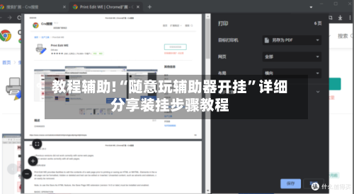 教程辅助!“随意玩辅助器开挂	”详细分享装挂步骤教程-第3张图片