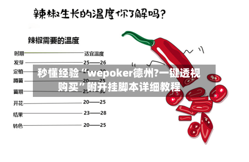 秒懂经验“wepoker德州?一键透视购买”附开挂脚本详细教程-第3张图片
