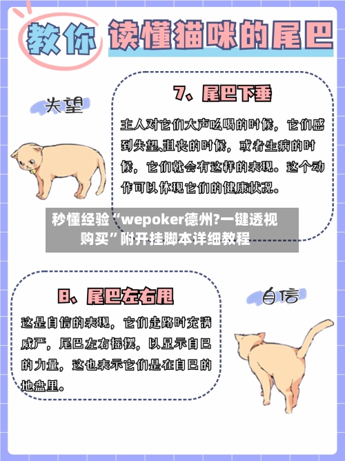 秒懂经验“wepoker德州?一键透视购买”附开挂脚本详细教程