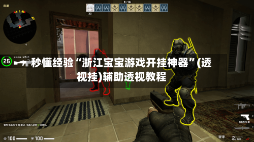 秒懂经验“浙江宝宝游戏开挂神器”(透视挂)辅助透视教程