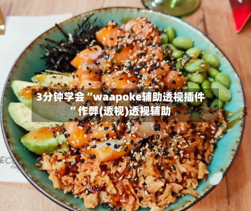 3分钟学会“waapoke辅助透视插件	”作弊(透视)透视辅助-第2张图片