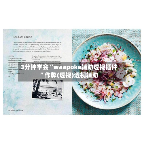 3分钟学会“waapoke辅助透视插件”作弊(透视)透视辅助-第3张图片