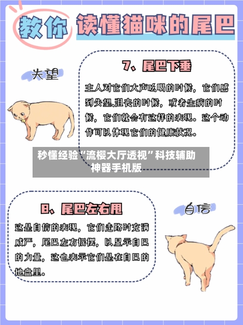 秒懂经验“流樱大厅透视”科技辅助神器手机版-第2张图片