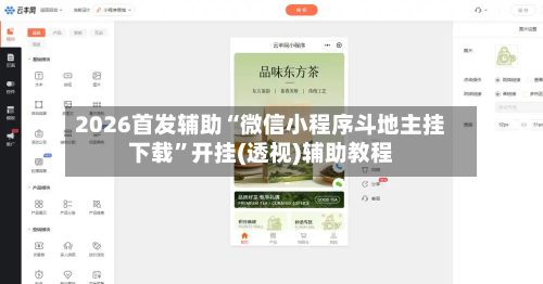 2026首发辅助“微信小程序斗地主挂下载	”开挂(透视)辅助教程-第2张图片