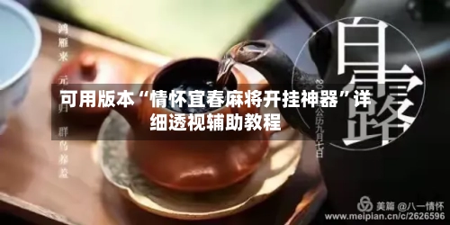 可用版本“情怀宜春麻将开挂神器”详细透视辅助教程